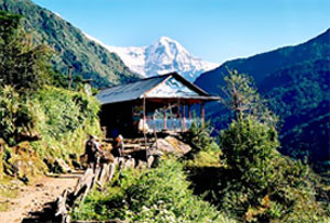Tea-house Trekking