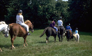 Pony Trekking in Nepal